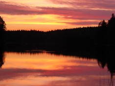 Manuela Gonzalez-Suarez spent a post-ECCB conference weekend at a lake cottage near Kattila, Finland -"just gorgeous!"