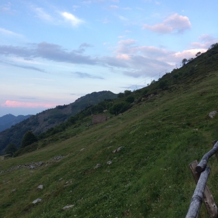 Meredith Root-Bernstein was at an art-science fieldwork/ workshop trip in the Piemonte pre-Alps near Biella (Oasi Zegna).