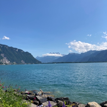 Overlooking Lake Geneva from Montreux