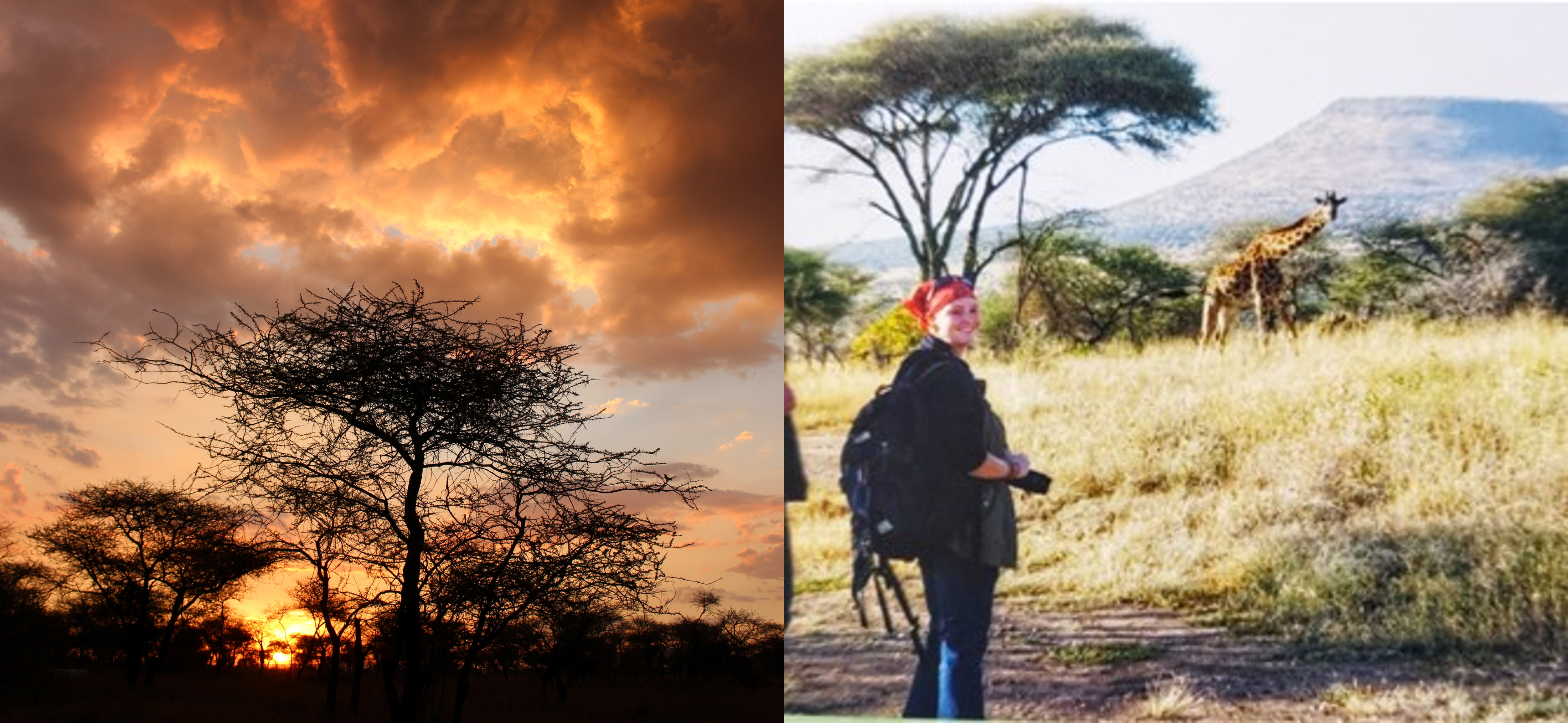Field site in Tanzania_collage